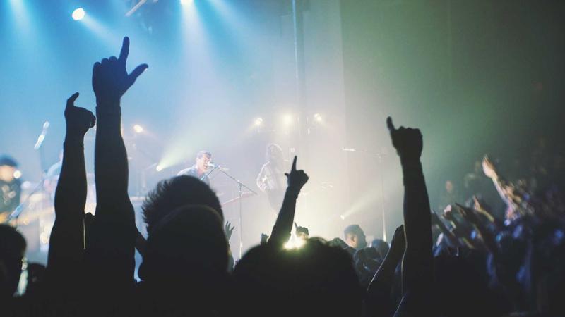用户通过国内美股开户投资英伟达股票的收益曲线图